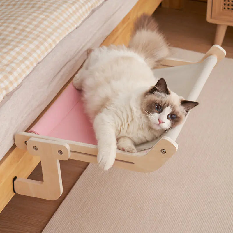 Kitty Window Lounge Bed