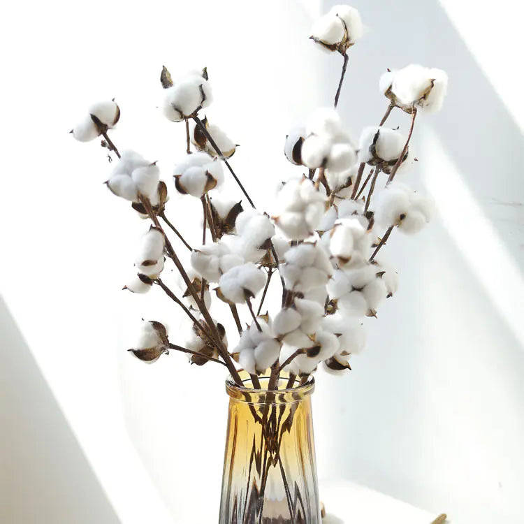 Elegant Cotton Decor Branches