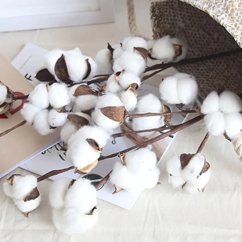Elegant Cotton Decor Branches