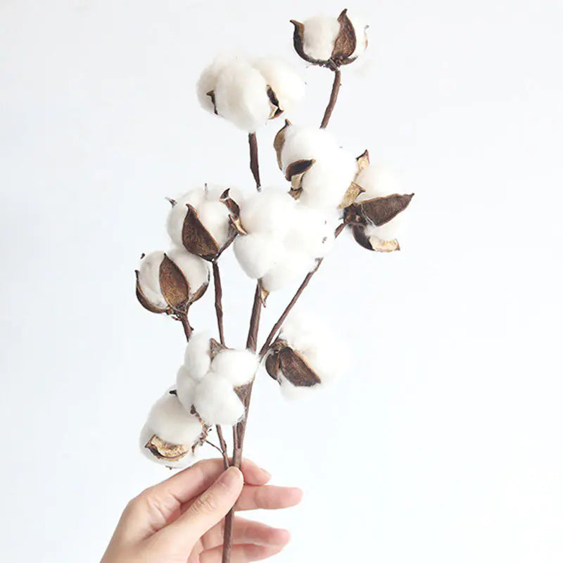 Elegant Cotton Decor Branches