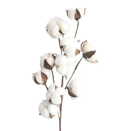 Elegant Cotton Decor Branches