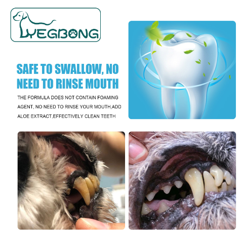 Fresh Breath Pet Toothpaste